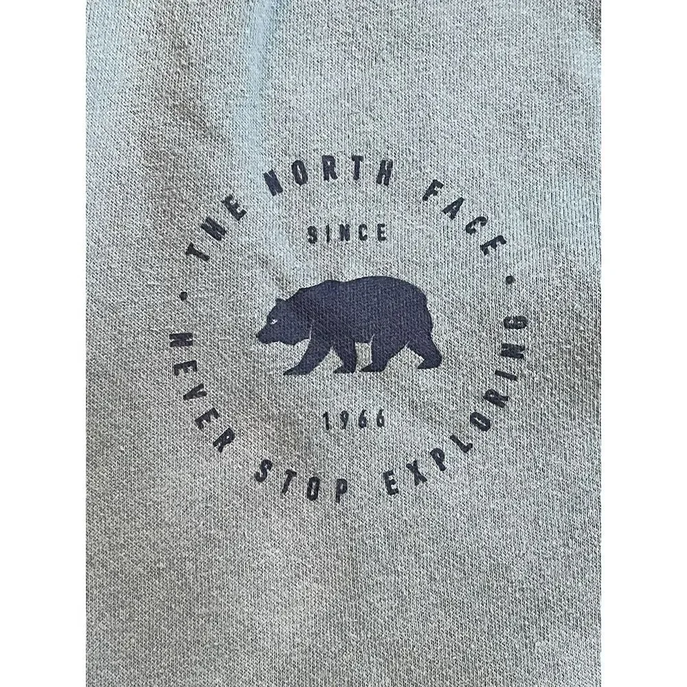 The North Face Pullover Blue Hoodie Sweatshirt  